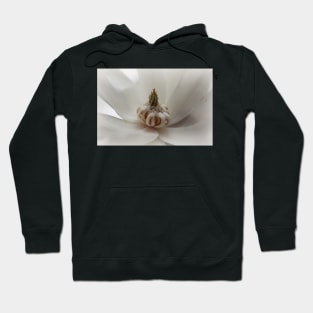 White Magnolia Hoodie